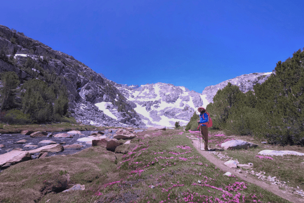 Exploring wildflowers near Temple Crag