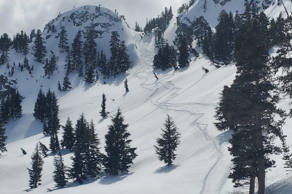 Backcountry Skiing & Splitboarding in Mammoth Lakes