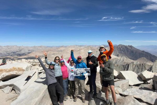Mt. Whitney via Cottonwood Mule Supported hikers on the summit of Mt. Whitney